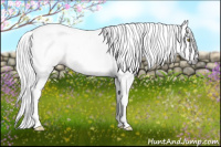 Horse Color:Gray Sable Champagne