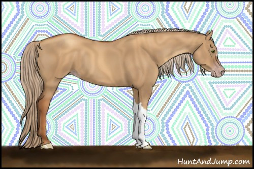 Horse Color:Gray Gold Champagne Dun 