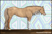 Horse Color:Gray Gold Champagne Dun 