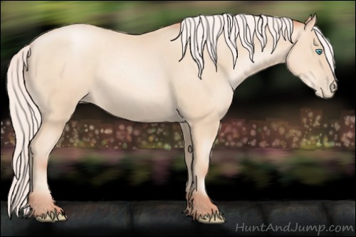 Horse Color:Silver Sable Cream Champagne Pearl 