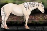 Horse Color:Silver Sable Cream Champagne Pearl 