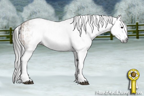 Horse Color:Gray Buckskin Splash  and Gray Buckskin Dun Splash 