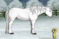 Horse Color:Gray Buckskin Splash and Gray Buckskin Dun Splash