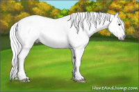 Horse Color:Gray Classic Champagne 