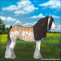 Horse Color:Buckskin Roan Splash  and Buckskin Roan Splash 