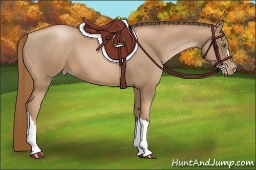 Horse Color:Liver Chestnut Pearl 