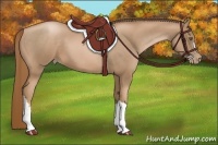 Horse Color:Liver Chestnut Pearl