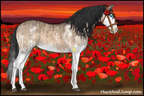Horse Color:Brown Dun Splash and Brown Dun Splash