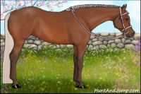 Horse Color:Silver Bay 