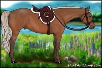 Horse Color:Silver Bay