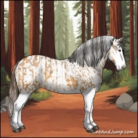 Horse Color:Buckskin Roan Splash and Buckskin Roan Splash Appaloosa