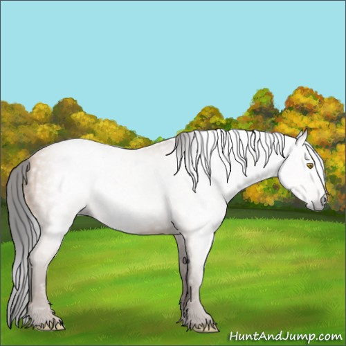 Horse Color:Gray Amber Champagne 