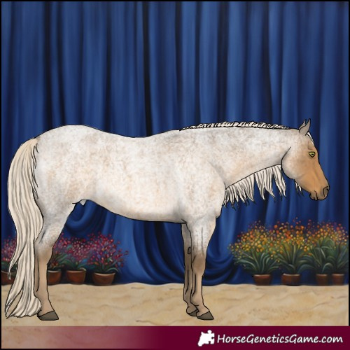 Horse Color:Chocolate Palomino Roan Mushroom 