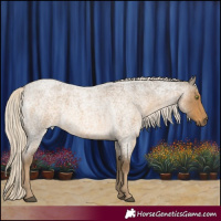Horse Color:Chocolate Palomino Roan Mushroom 