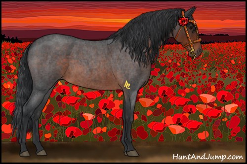 Horse Color:Brown Roan