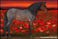 Horse Color:Brown Roan