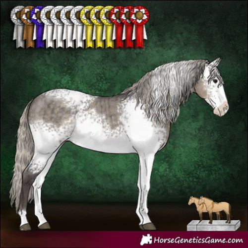Horse Color:White Spotted Silver Smoky Grullo Roan Brindle 
