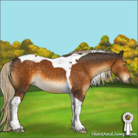 Horse Color:Chocolate Palomino Tobiano