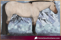 Horse Color:White Spotted Liver Red Dun Roan 