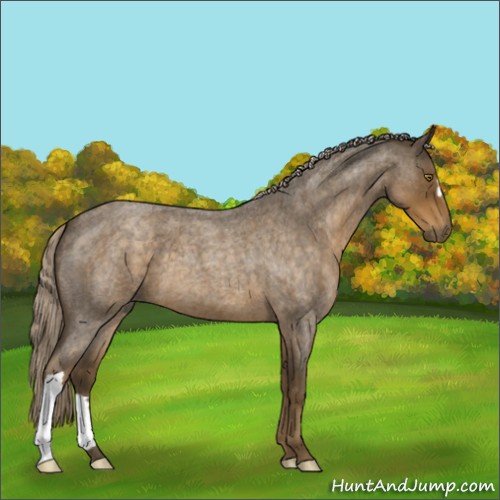 Horse Color:Chocolate Palomino Roan 