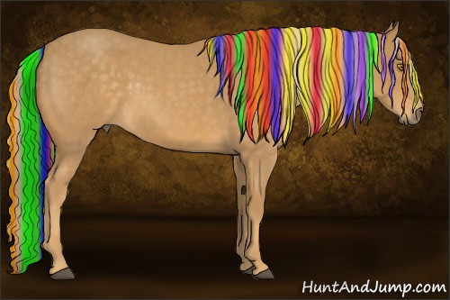 Horse Color:Painted Palomino Roan 
