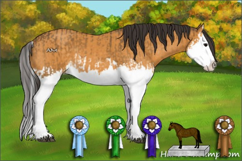 Horse Color:Buckskin Splash  and Buckskin Splash 