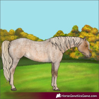 Horse Color:Chocolate Palomino Roan 