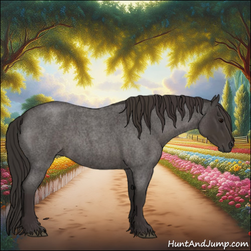 Horse Color:Smoky Blue Roan 