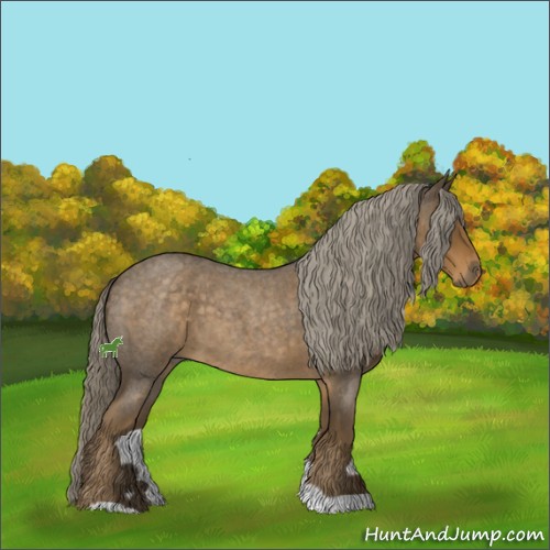Horse Color:Chocolate Palomino Roan