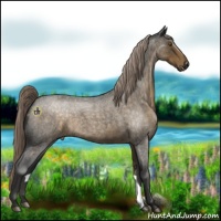 Horse Color:Liver Red Roan 