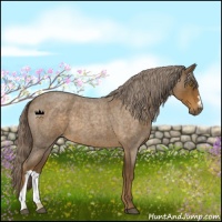 Horse Color:Chocolate Palomino Roan 