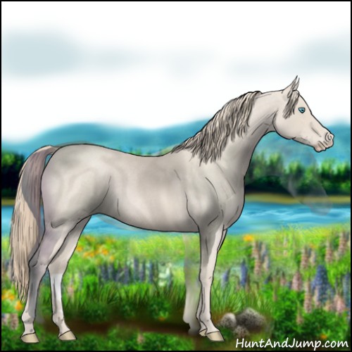 Horse Color:Smoky Creme Roan