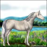 Horse Color:Silver Smoky Creme 