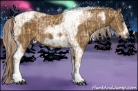 Horse Color:Chocolate Palomino Pearl Tobiano Frame and Chocolate Palomino Tobiano Frame