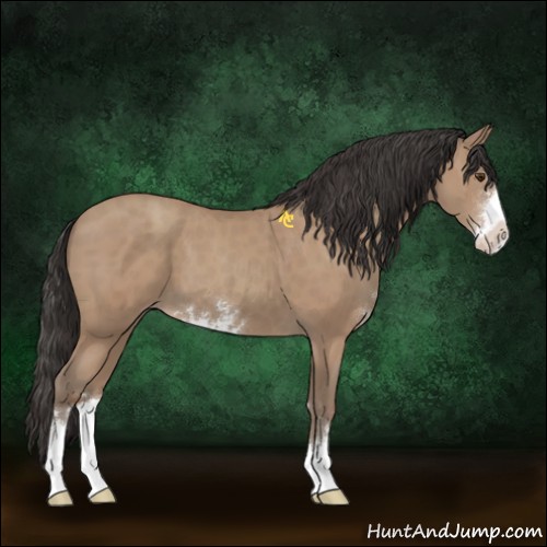 Horse Color:Classic Champagne Sabino 