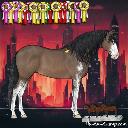 Horse Color:Brown Dun Sabino 