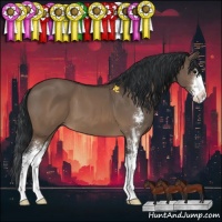 Horse Color:Brown Dun Sabino 
