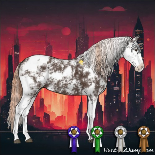 Horse Color:Liver Chestnut Sabino 