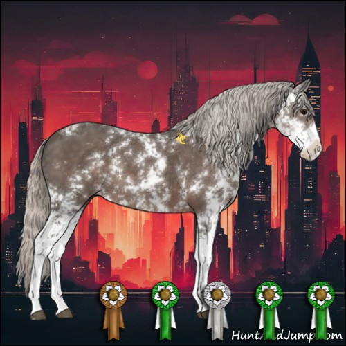 Horse Color:Silver Black Sabino 