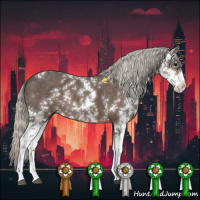 Horse Color:Silver Black Sabino 