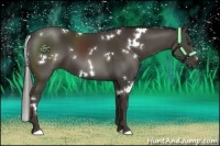 Horse Color:White Spotted Liver Chestnut 