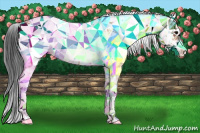 Horse Color:Bay Sabino 