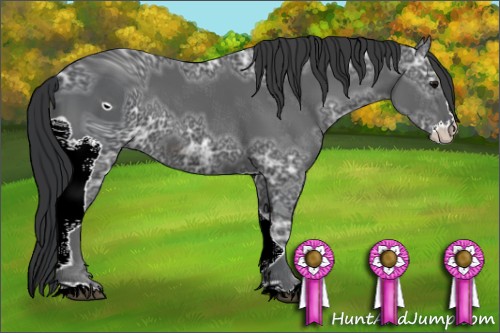 Horse Color:ERROR: UNKNOWN ANOMALY