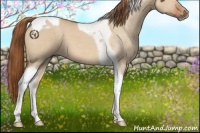 Horse Color:Red Dun Tobiano 