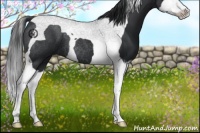 Horse Color:Black Splash Tobiano 