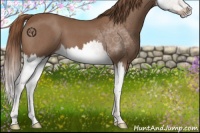 Horse Color:Red Roan Splash 
