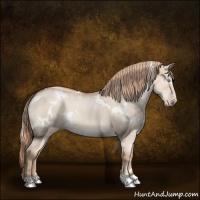 Horse Color:White Spotted Gold Champagne Dun 