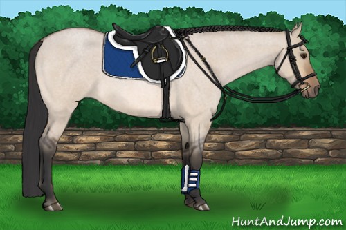 Horse Color:Bay Roan Dun 