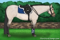 Horse Color:Bay Roan Dun 