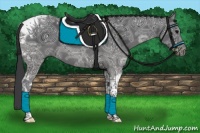 Horse Color:Black Ice Tobiano 